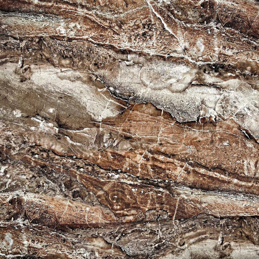 Brown Latte Surfaces Cotton Wideback Fabric per yard